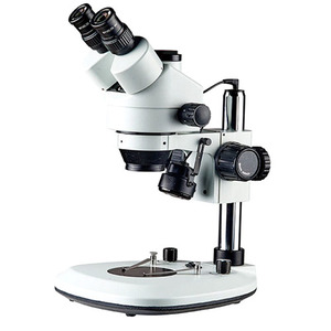 CTM45TR-BL3 3안실체현미경
